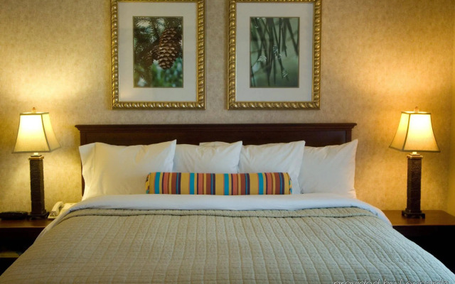 Phoenix Inn Suites - Albany