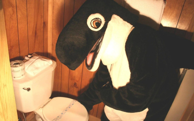 The Orca Inn