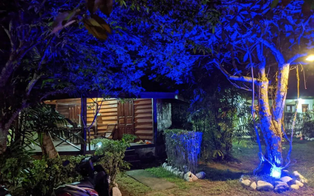 New Surf Paradise Bungalow