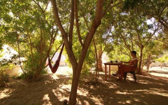 Todos Santos Hostel