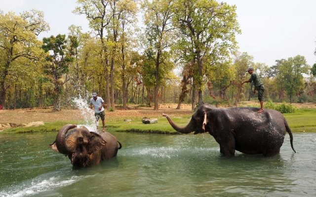 Bardia jungle resort