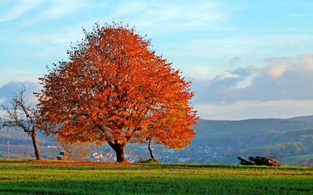 Landgasthof Grüner Baum