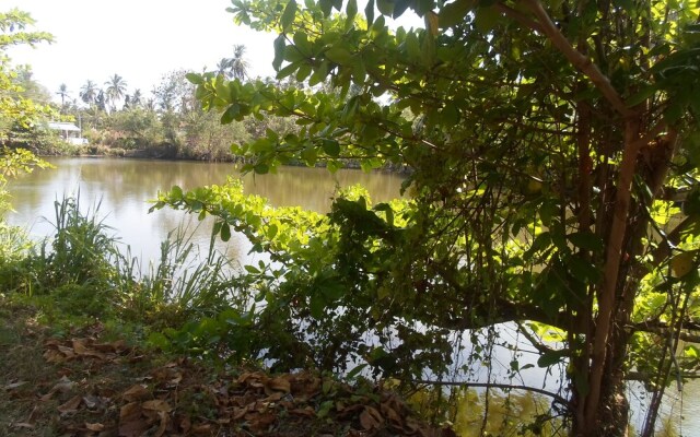 Amada Lake View Homestay