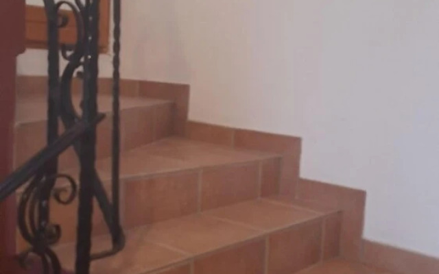 Ninko - Comfortable - A1