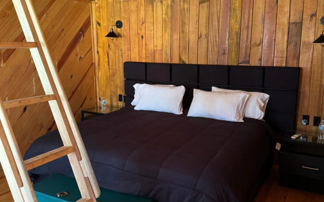PINE TREE Hotel Boutique & Cabañas