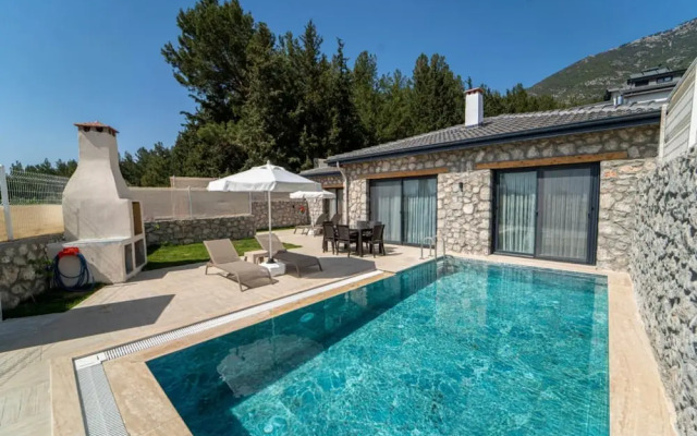 Magnificent Villa With Private Pool in Fethiye