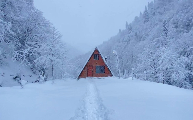 Senoz Mountain House - Bungalow