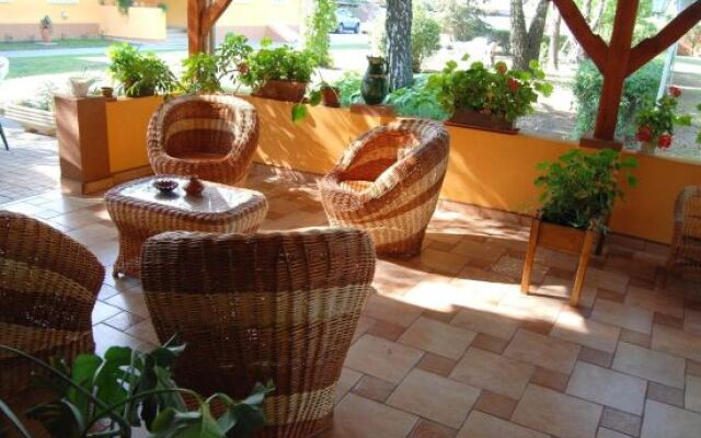 Platán Szálláshely