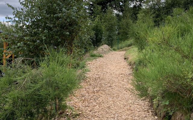 Large holidayhome near Winterberg with garden, terrace and garage