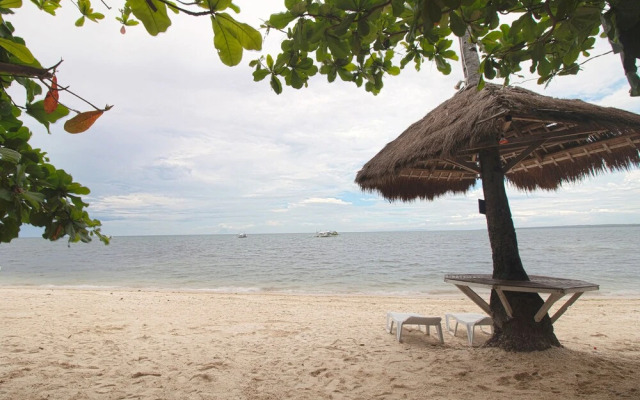 OYO 853 Malapascua Beach And Dive Resort