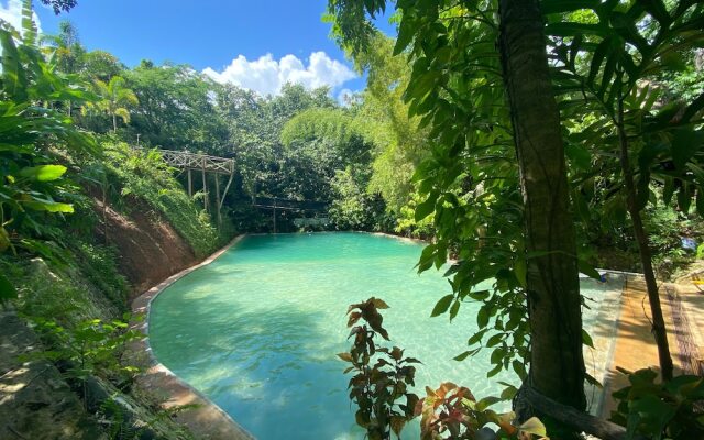 Samana Tropical with DodoMap