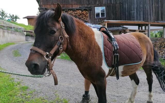 Kinderbauernhof Ierzerhof