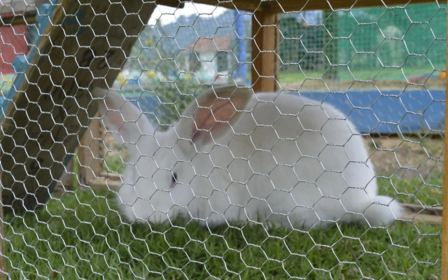 Villa de Libertad DF