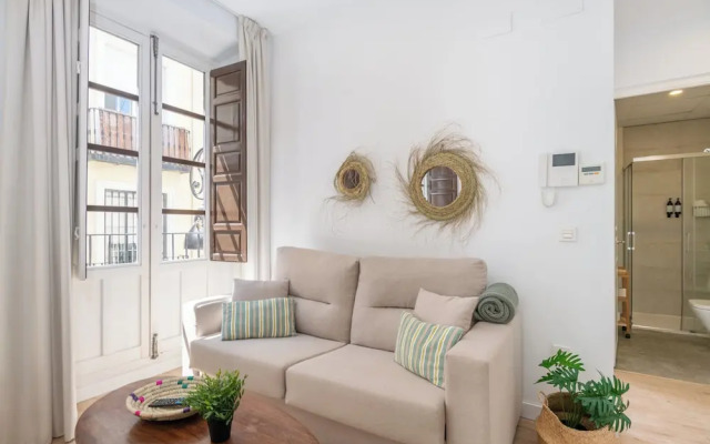 Apartamentos Luna Suites Palacio Dorita