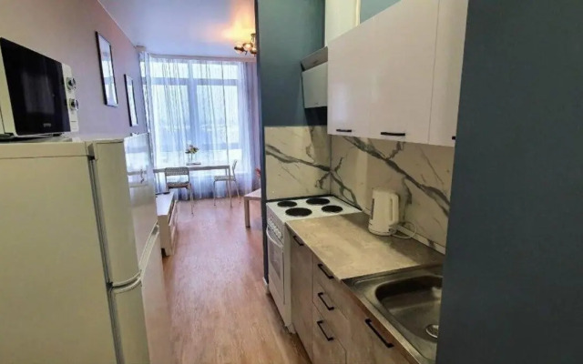 Cozy apartment on Michurina street 58