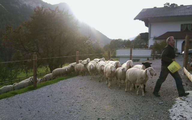 Saumerhof - Fam. Trinker Marion Und Wolfgang