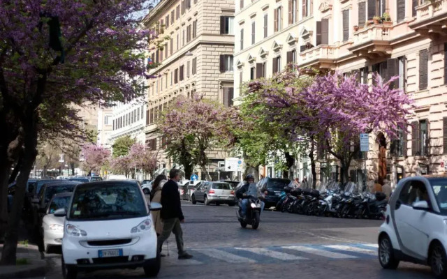 Eccelso Hotel