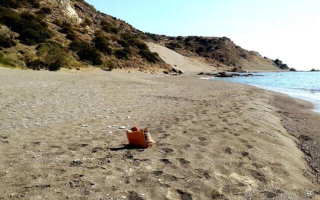 Antonis's Palm House
