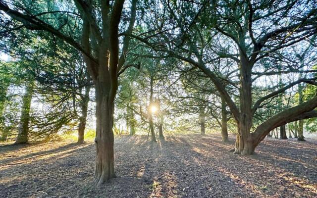 Sherwood Castle Holiday Forest