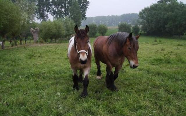 B&B In De Lossen Teugel