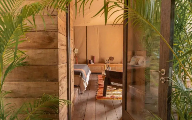 Nomade Holbox