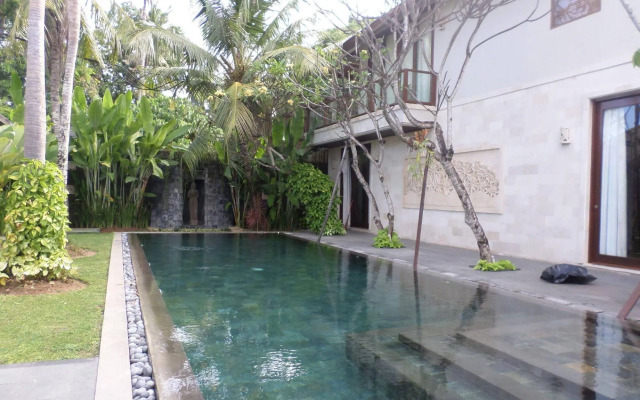 The Akasha Bali