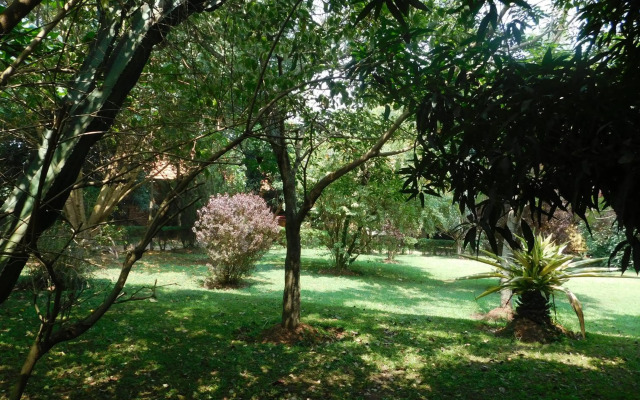 Soho Greens Apartment 2