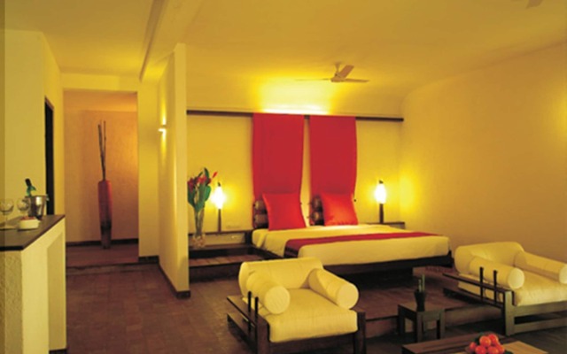 Rainforest Boutique Resort