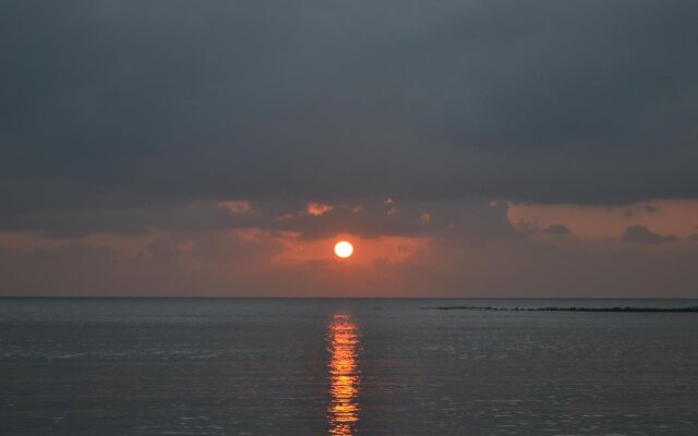 Palm Island