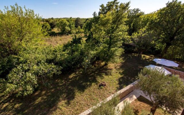 Apartment Romana Bardonecchia 10217