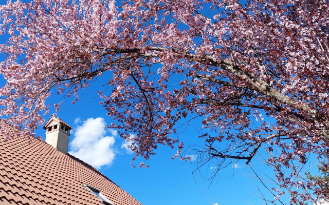 Puente Canto de Gredos