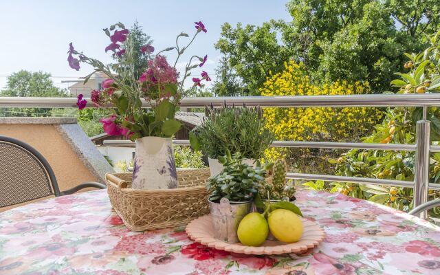 Apartments Bella Vista