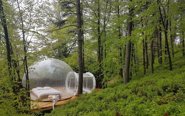 La bulle transparente - La Myrtille