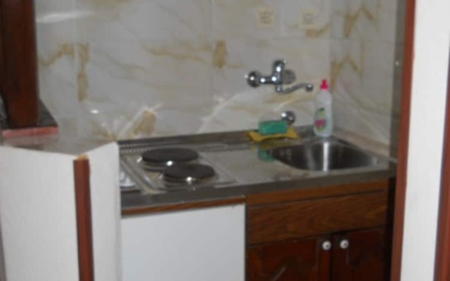 Apartment and Rooms Antun