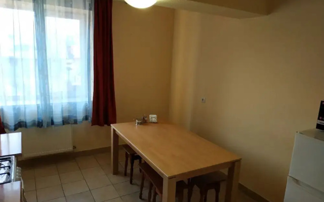 VIP Apartments in the Centre