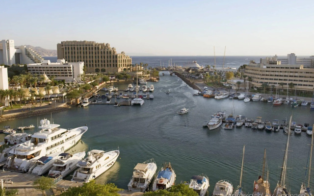 Vert Eilat