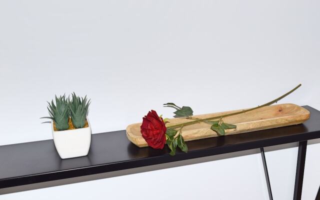 Apt San Rafael-Parking-Centro de Málaga