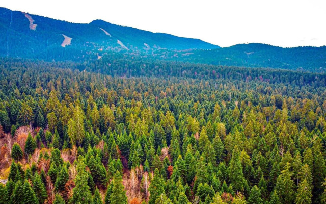 MAGRI Luxurious Apartment A42 Borovets Gardens