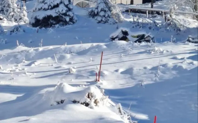 Villa Kostic Kopaonik