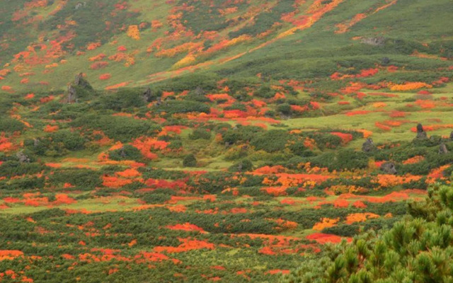 Asahidake Onsen Yumoto Yukomansou