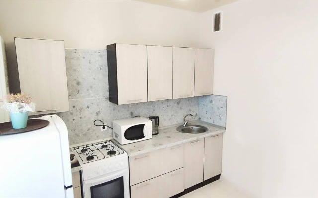 Studio apartments on 17 Rogozhnikova Street