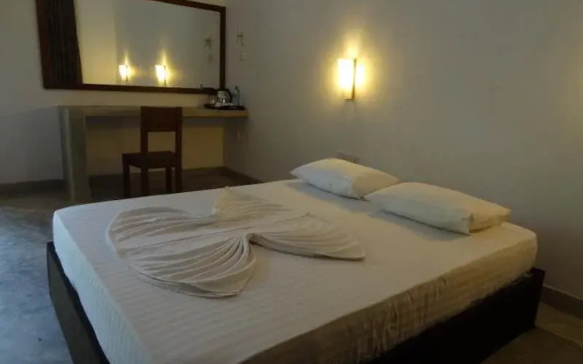 Big Game on Wheels - Wilpattu