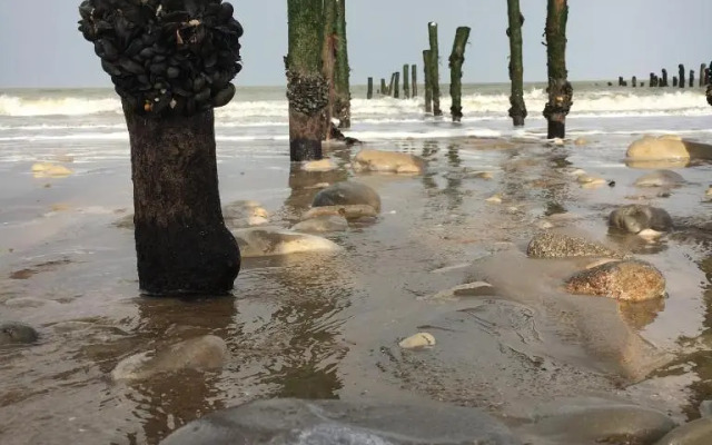 Les Bains Boyardville Hotel Et Restaurant