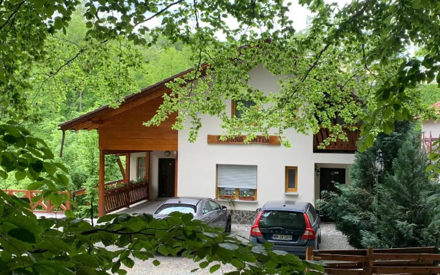 Pintea Chalet