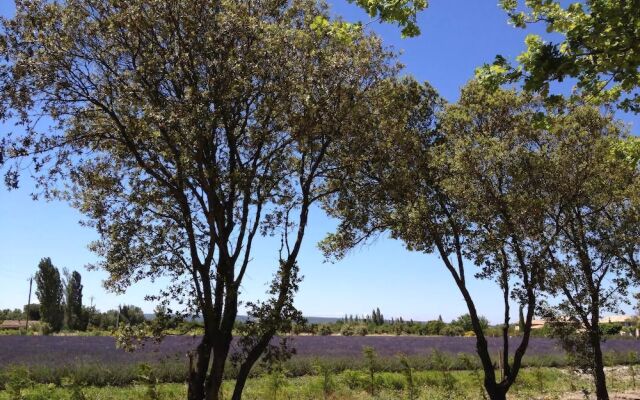 Lodges en Provence - Caravan Park