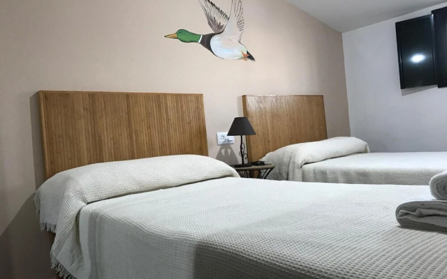 Casa Rural Doñana 51