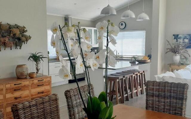 Hilton Cove Beach House