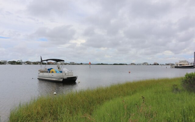 Sand Dollar by Surfside VR