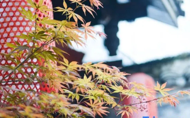 QingXi Zen Courtyard Retreat in Fenghuang