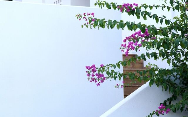 Melia Sol Art Studios